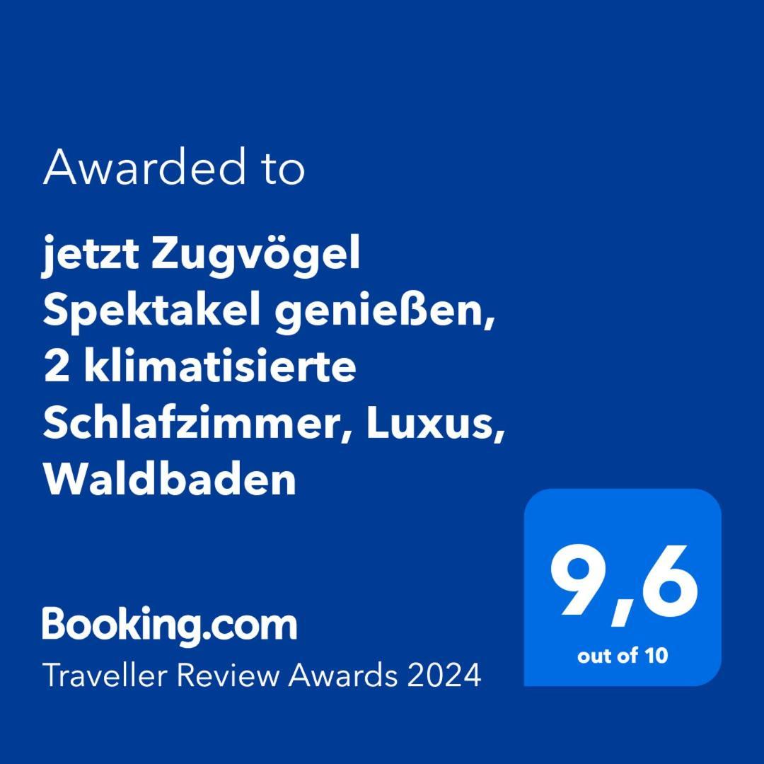 5 Sterne Bahnhoftraum, Appartement "Waldliebe" 133Qm, Grosse Terrasse 70Qm, Qr Code Scannen Fuer Virtuellen Rundgang, Premium Ausstattung Braunfels Exterior photo
